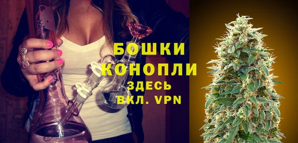 spice Бронницы